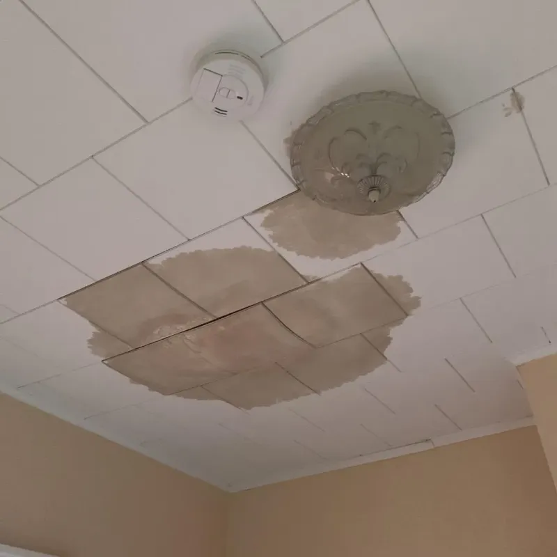 Ceiling Water Damage Repair in Dublin, OH