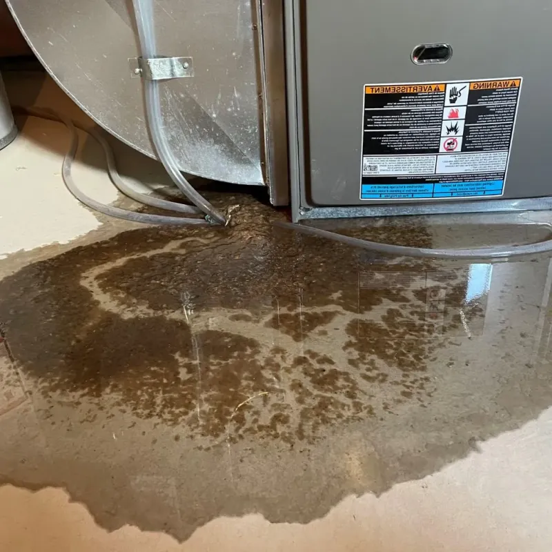 Pipe Burst and Leak Restoration in Dublin, OH