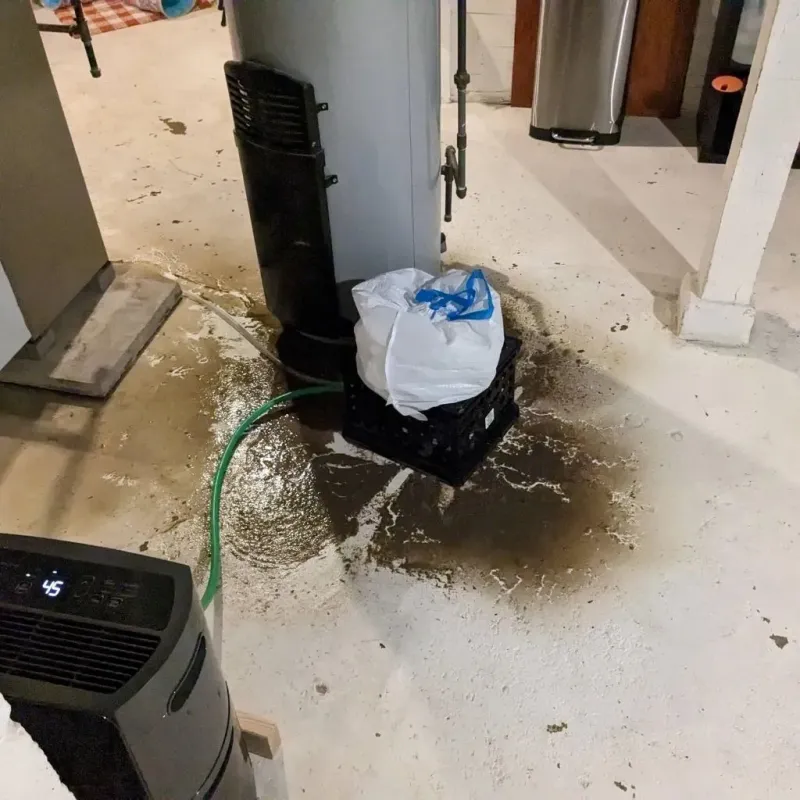 Sewage Backup Cleanup Service in Dublin, OH